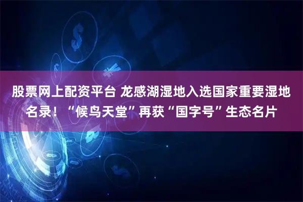 股票网上配资平台 龙感湖湿地入选国家重要湿地名录！“候鸟天堂”再获“国字号”生态名片