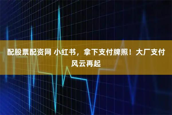 配股票配资网 小红书，拿下支付牌照！大厂支付风云再起