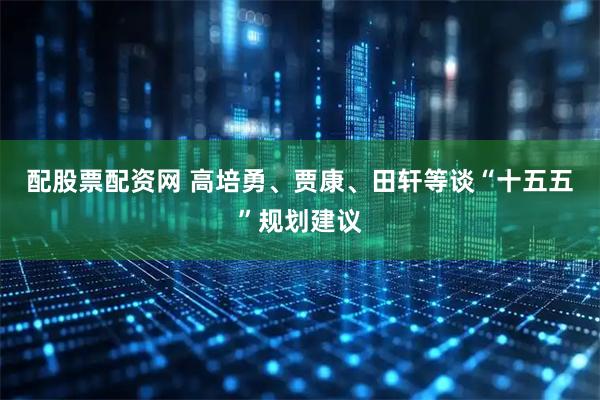配股票配资网 高培勇、贾康、田轩等谈“十五五”规划建议
