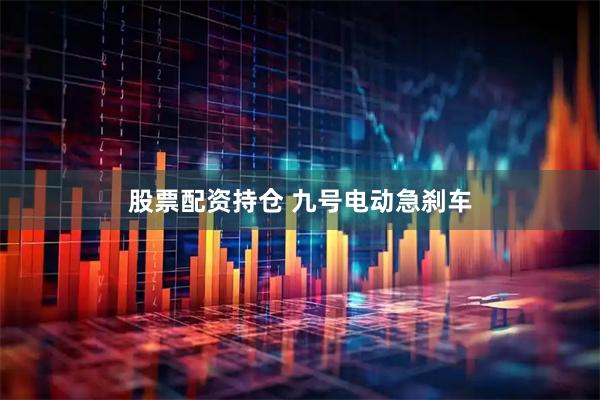 股票配资持仓 九号电动急刹车